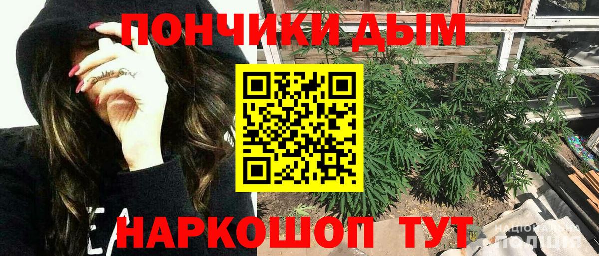 Каннабис AK-47 Изобильный